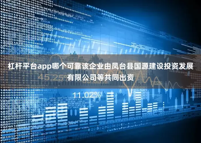 杠杆平台app哪个可靠该企业由凤台县国源建设投资发展有限公司等共同出资