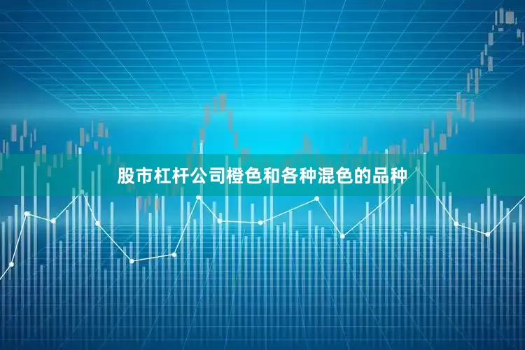 股市杠杆公司橙色和各种混色的品种