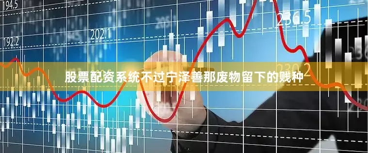 股票配资系统不过宁泽善那废物留下的贱种