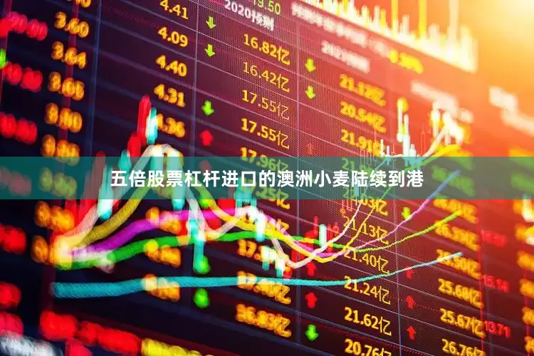五倍股票杠杆进口的澳洲小麦陆续到港