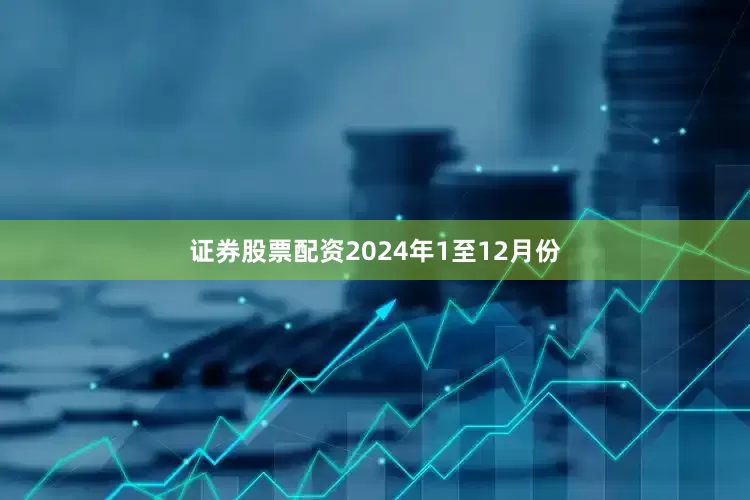 证券股票配资　　2024年1至12月份