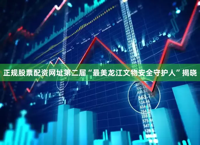 正规股票配资网址第二届“最美龙江文物安全守护人”揭晓