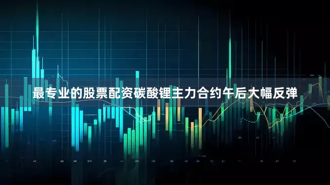 最专业的股票配资碳酸锂主力合约午后大幅反弹
