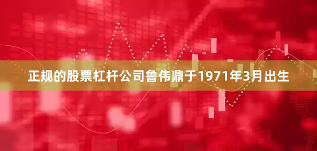 正规的股票杠杆公司鲁伟鼎于1971年3月出生