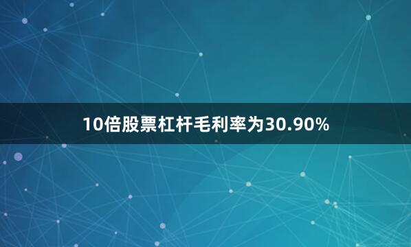 10倍股票杠杆毛利率为30.90%
