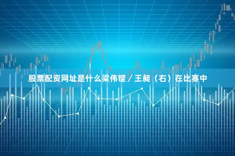 股票配资网址是什么梁伟铿／王昶（右）在比赛中