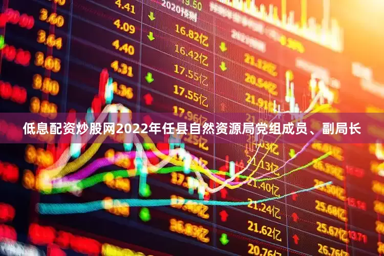低息配资炒股网2022年任县自然资源局党组成员、副局长